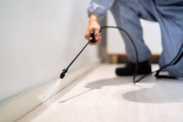 Licensed Termite Control service in Saco, ME - Nex Pest Control