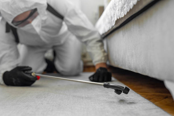 Professional Termite Control technician working in Saco, ME