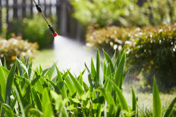 24/7 Emergency Termite Control experts in Saco, ME