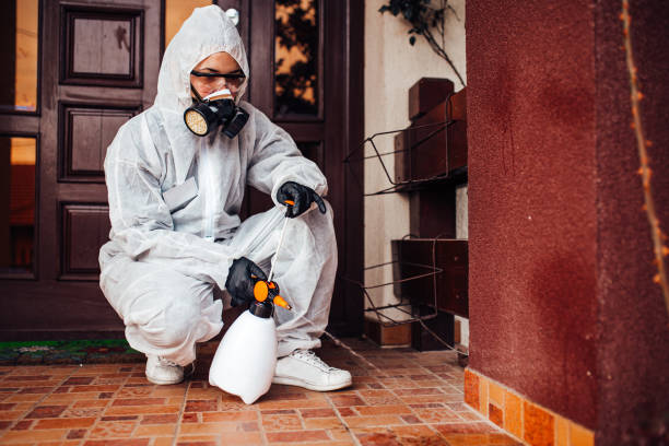 Reliable Termite Control contractor in Saco, ME by Nex Pest Control